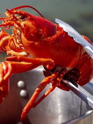 Lobster Rhumb Line Resort