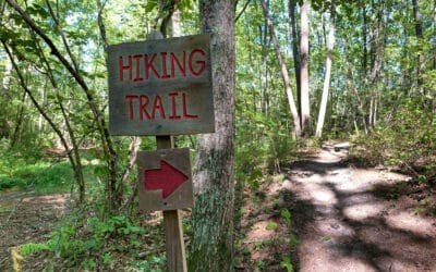 Hiking Alewive Woods Rhumb Line Resort